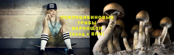эйфоретик Переславль-Залесский