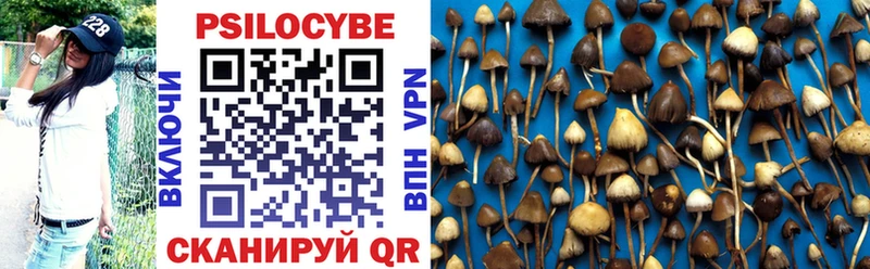 OMG ссылки  где купить наркотик  Кисловодск  Псилоцибиновые грибы мухоморы 