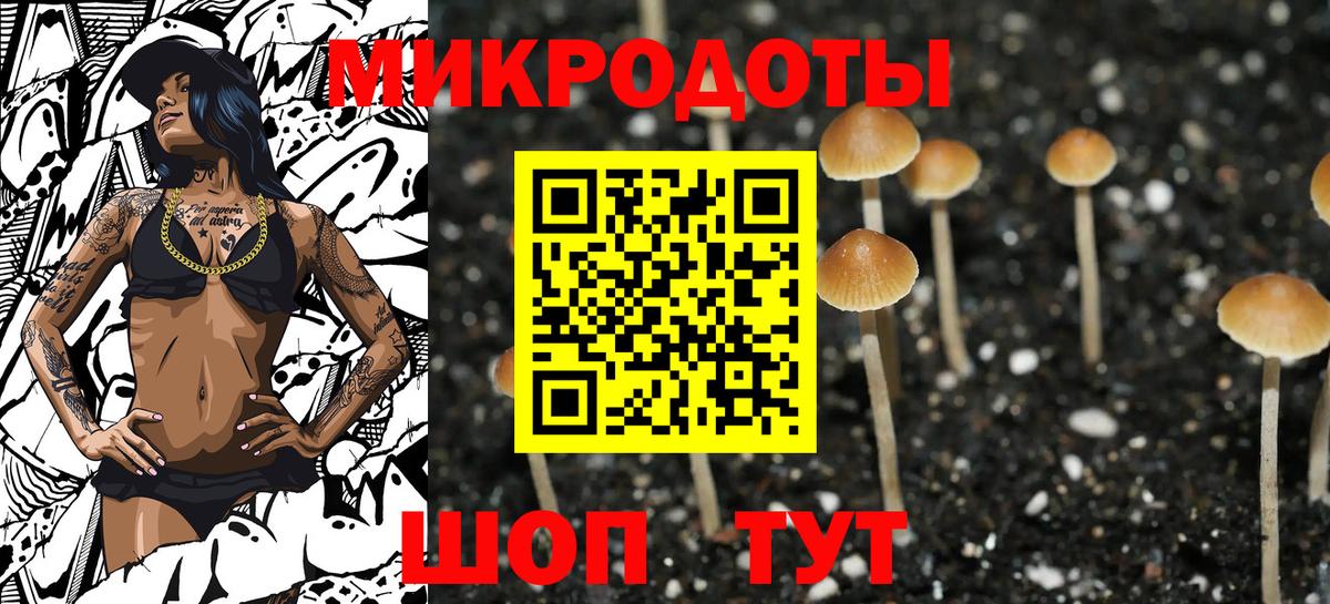 Псилоцибиновые грибы мицелий  Вход с VPN  Кисловодск 