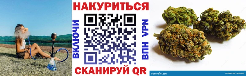 Конопля марихуана  закладки  Кисловодск 